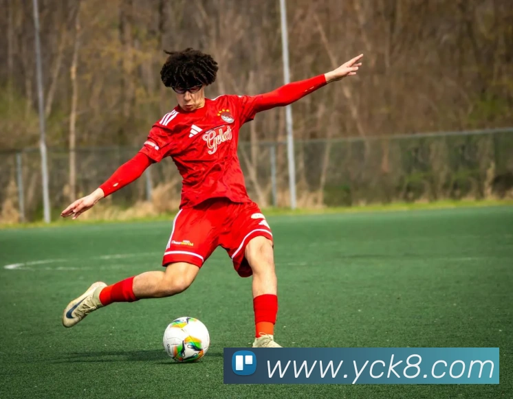 凯发K8发展历程